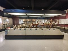 -西安大唐西市博物馆