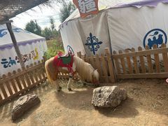 -鄂尔多斯野生动物园