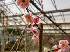 -北京鹫峰国家森林公园