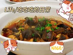 -良友水鱼城