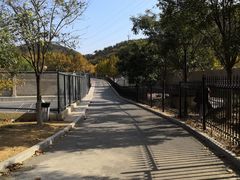 -大连东软信息学院(软件园校区)