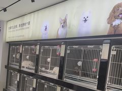 -翊宠yipet猫狗购宠庄园犬舍•猫舍