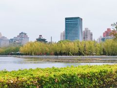 -莲花池公园