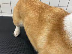 -猫力发电所·宠物专门店