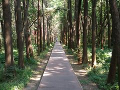 -同里国家湿地公园
