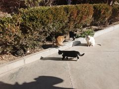 -炳灵寺世界文化遗产旅游区