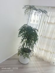 -HEYAN荷妍专业脱毛连锁机构