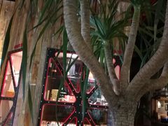 -NLFS1983咖啡花园餐厅(锦桂店)