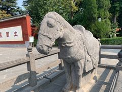 -洛阳白马寺