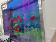 -雅悦齿科(顾村公园店)