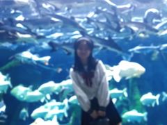 -哈尔滨波塞冬海底世界