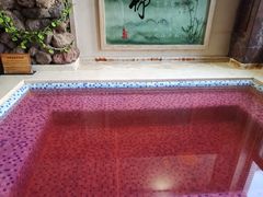 -将军石酒店温泉