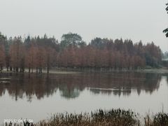 -白鹭湾湿地公园