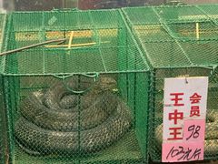-荔城生鲜盛宴(番禺旗舰店)