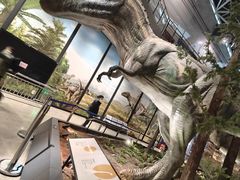 -湖南省地质博物馆