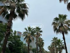 -金沙湖公园
