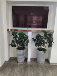 -痘院长·祛痘·科技美肤