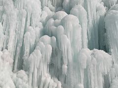 -陕西省红河谷森林公园