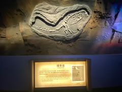 -中国西峡恐龙遗迹园
