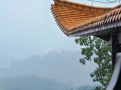 -深圳仙湖植物园