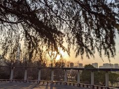 -白塘生态植物园