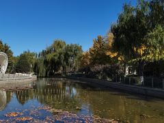 -康庄公园