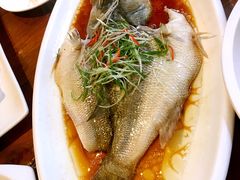 港式清蒸鲈鱼-春暖花开(西溪店)