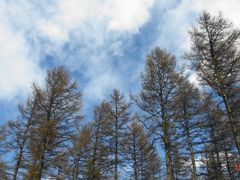 -塞罕坝国家级自然保护区