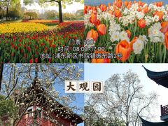 -顾村公园