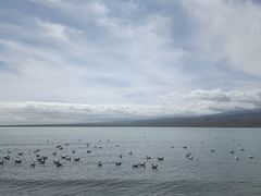 -青海湖国家重点风景名胜区