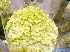 -盒马鲜生(红莲店)