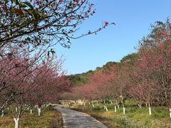 -福清灵石山国家森林公园