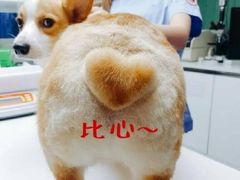 -比格比萨自助(国展店)