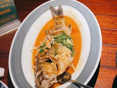 -前海沿·青岛菜(五四广场永旺店)