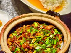 -甄御•海鲜新青岛菜(麦岛店)