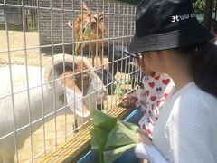 -武汉紫薇都市田园