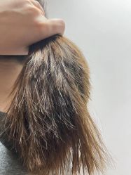 -私家美林护肤造型