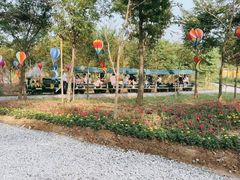 -太阳岛度假酒店