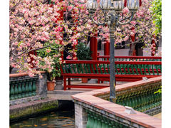 -宝墨园景区