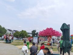 -龙寺生态园