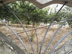 -成都中医药大学(温江校区)