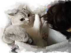 -爱侣宠医·鹦鹉专科·小型哺乳类·异宠专科(灵石路店)