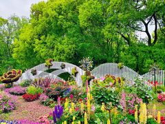 -上海共青森林公园