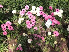 -北京植物园-展览温室