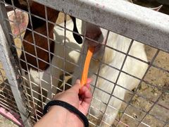 -金庭庄园酒店-停车场