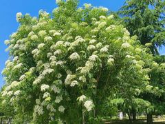 -济南国际园博园