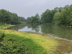 -桤木河湿地公园