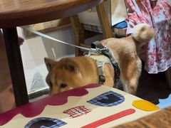 -Brut Eatery悦璞食堂(愚园路店)