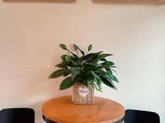 用餐区-参差咖啡(水果湖公园店)