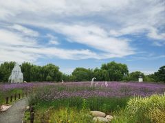 -梁鸿国家湿地公园